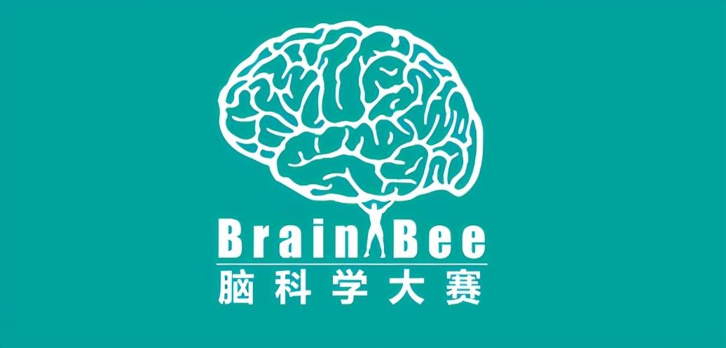 在腦科學(xué)比賽中，實(shí)外國(guó)際部學(xué)子是如何一往無(wú)前的？